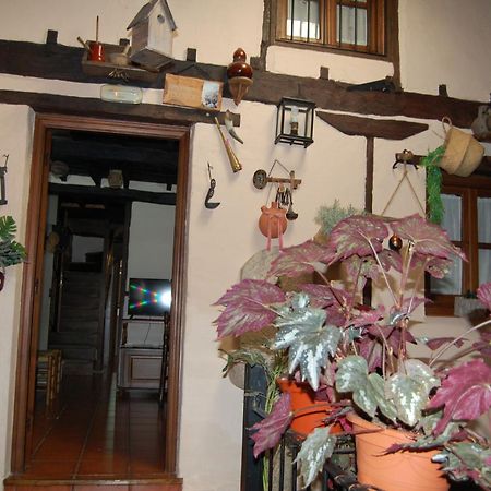Apartamentos Rurales Tia Josefa تورنافاكاس المظهر الخارجي الصورة